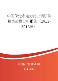 中國保定市電力行業(yè)調(diào)研及投資前景分析報(bào)告(2012-2016年) 中國保定市電力行業(yè)調(diào)研及投資前景分析報(bào)告(2012-2016年)