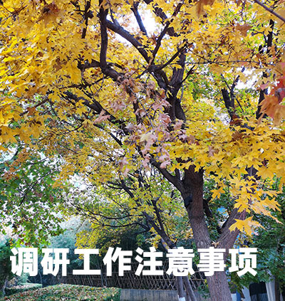 調(diào)研工作注意事項(xiàng) 調(diào)研工作注意事項(xiàng)